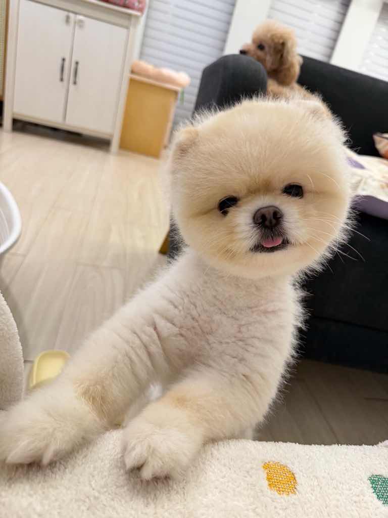 貼文圖片
