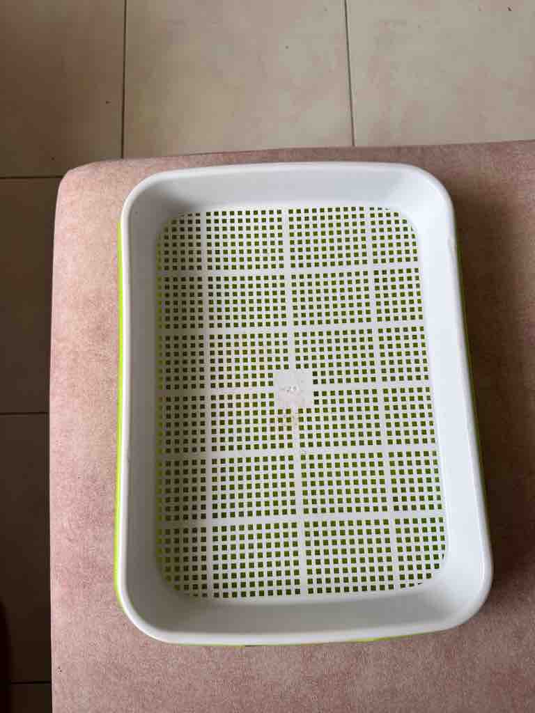 貼文圖片