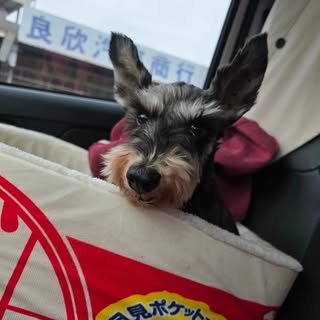 貼文圖片