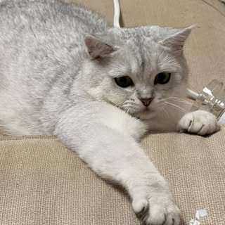 貼文圖片