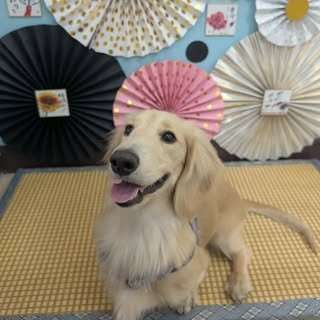 貼文圖片