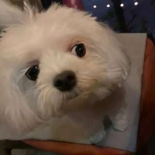 貼文圖片