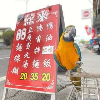 貼文圖片