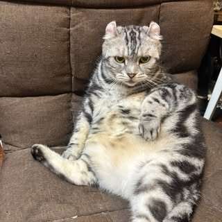 貼文圖片