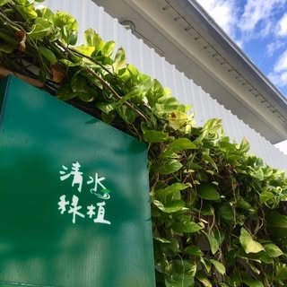 貼文圖片