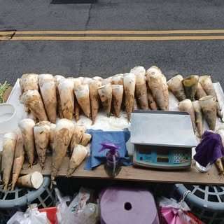 貼文圖片