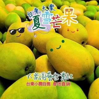 貼文圖片