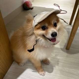貼文圖片